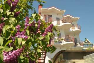 Гостевой дом Парусник Алушта-3