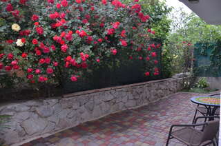 Гостевой дом Парусник Алушта Двухместный номер Делюкс с 2 отдельными кроватями-2